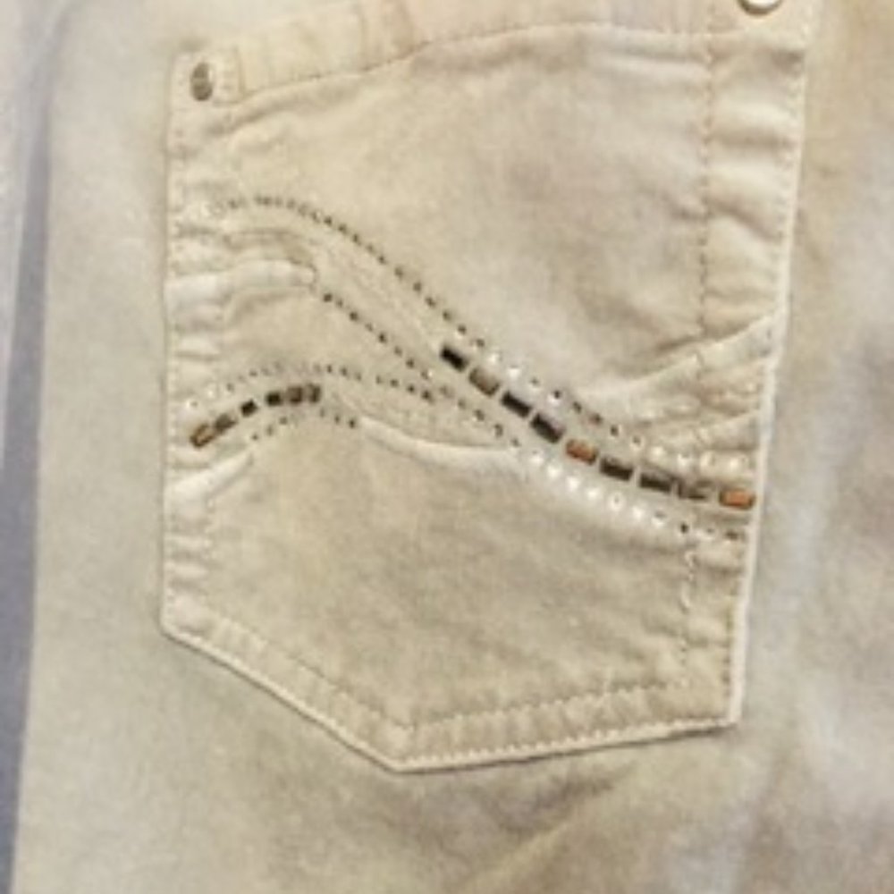 Silver Velvet Embellished Boot Leg Pants